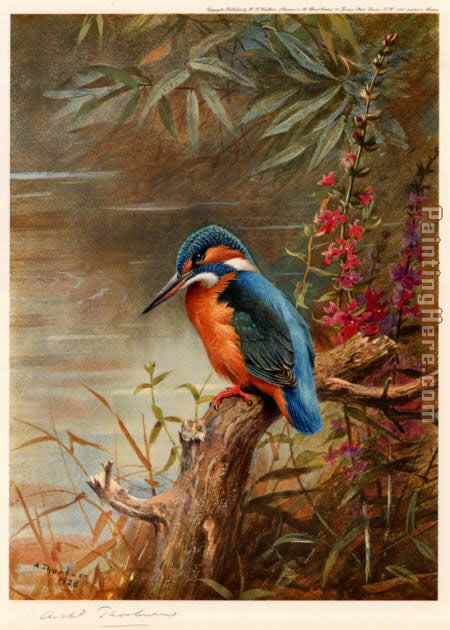 Summer Kingfisher painting - Archibald Thorburn Summer Kingfisher art painting